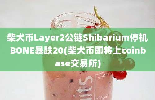 柴犬币Layer2公链Shibarium停机BONE暴跌20(柴犬币即将上coinbase交易所)