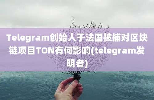 Telegram创始人于法国被捕对区块链项目TON有何影响(telegram发明者)