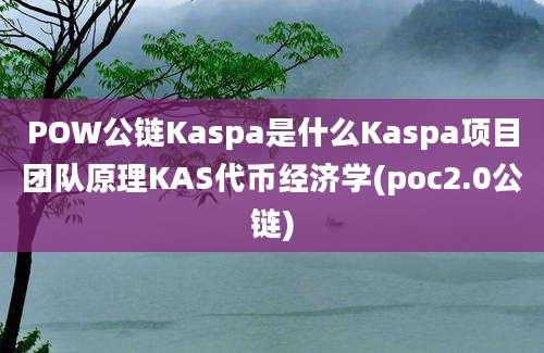 POW公链Kaspa是什么Kaspa项目团队原理KAS代币经济学(poc2.0公链)