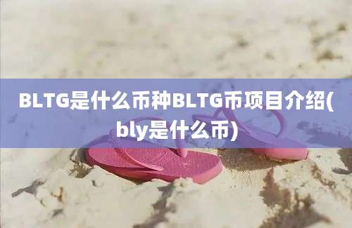 BLTG是什么币种BLTG币项目介绍(bly是什么币)