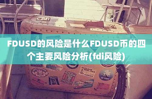 FDUSD的风险是什么FDUSD币的四个主要风险分析(fdi风险)