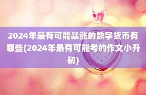 2024年最有可能暴涨的数字货币有哪些(2024年最有可能考的作文小升初)