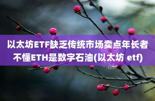 以太坊ETF缺乏传统市场卖点年长者不懂ETH是数字石油(以太坊 etf)