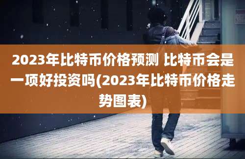 2023年比特币价格预测 比特币会是一项好投资吗(2023年比特币价格走势图表)