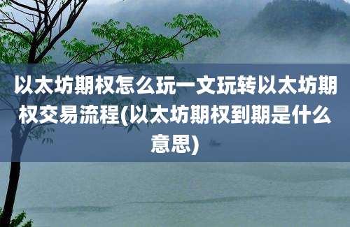 以太坊期权怎么玩一文玩转以太坊期权交易流程(以太坊期权到期是什么意思)