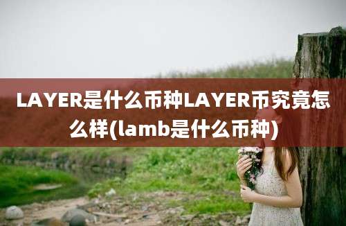 LAYER是什么币种LAYER币究竟怎么样(lamb是什么币种)