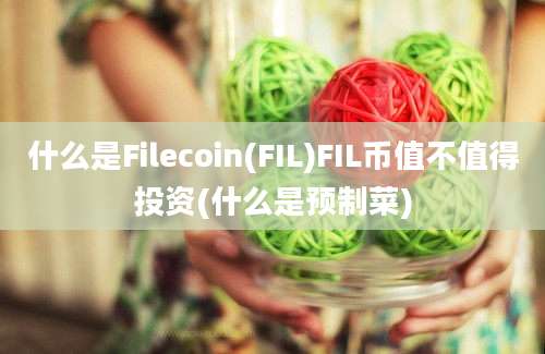 什么是Filecoin(FIL)FIL币值不值得投资(什么是预制菜)