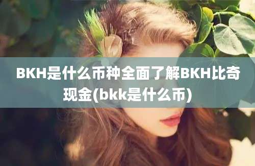 BKH是什么币种全面了解BKH比奇现金(bkk是什么币)