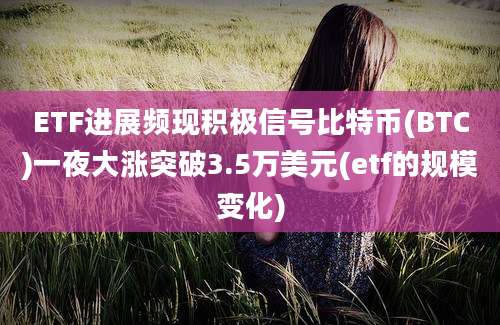 ETF进展频现积极信号比特币(BTC)一夜大涨突破3.5万美元(etf的规模变化)