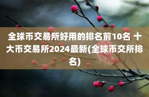 全球币交易所好用的排名前10名 十大币交易所2024最新(全球币交所排名)