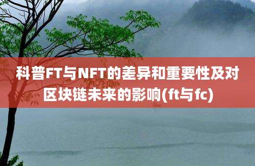 科普FT与NFT的差异和重要性及对区块链未来的影响(ft与fc)