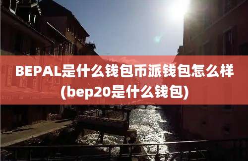 BEPAL是什么钱包币派钱包怎么样(bep20是什么钱包)