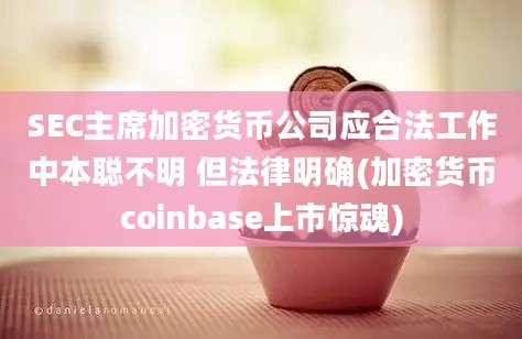 SEC主席加密货币公司应合法工作中本聪不明 但法律明确(加密货币coinbase上市惊魂)