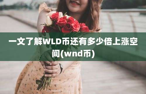 一文了解WLD币还有多少倍上涨空间(wnd币)