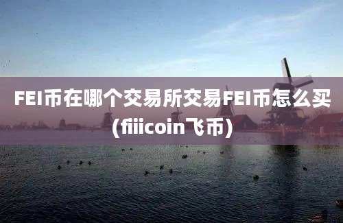 FEI币在哪个交易所交易FEI币怎么买(fiiicoin飞币)