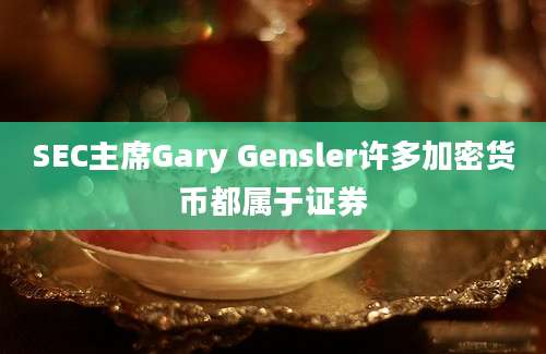 SEC主席Gary Gensler许多加密货币都属于证券