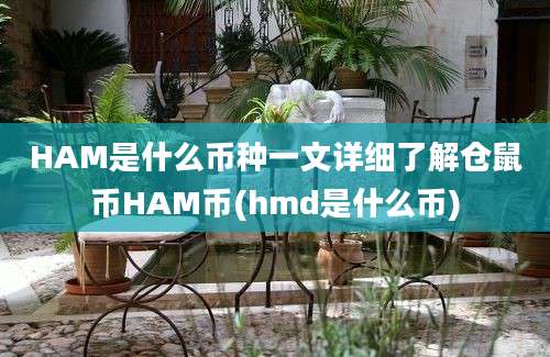 HAM是什么币种一文详细了解仓鼠币HAM币(hmd是什么币)