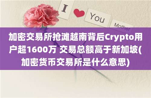 加密交易所抢滩越南背后Crypto用户超1600万 交易总额高于新加坡(加密货币交易所是什么意思)