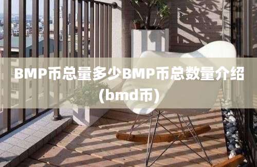 BMP币总量多少BMP币总数量介绍(bmd币)