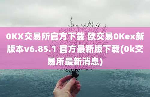 0KX交易所官方下载 欧交易0Kex新版本v6.85.1 官方最新版下载(0k交易所最新消息)