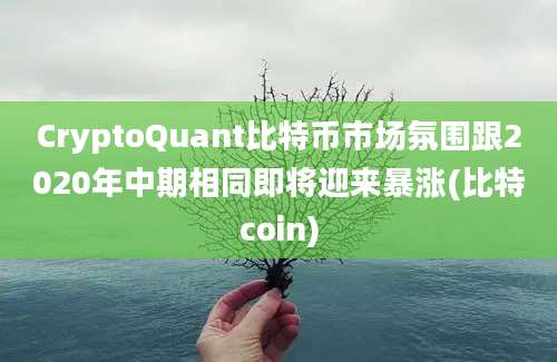 CryptoQuant比特币市场氛围跟2020年中期相同即将迎来暴涨(比特coin)