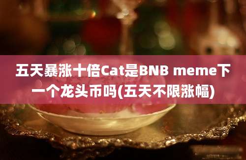 五天暴涨十倍Cat是BNB meme下一个龙头币吗(五天不限涨幅)