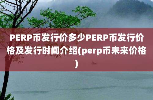 PERP币发行价多少PERP币发行价格及发行时间介绍(perp币未来价格)