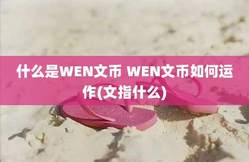 什么是WEN文币 WEN文币如何运作(文指什么)