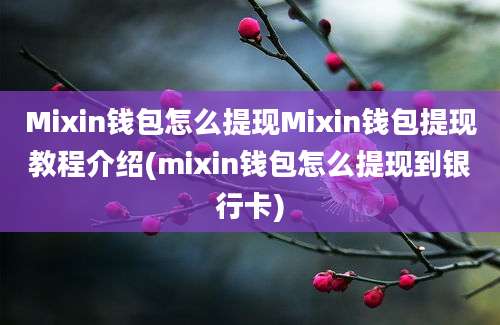 Mixin钱包怎么提现Mixin钱包提现教程介绍(mixin钱包怎么提现到银行卡)