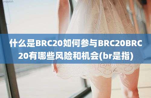 什么是BRC20如何参与BRC20BRC20有哪些风险和机会(br是指)