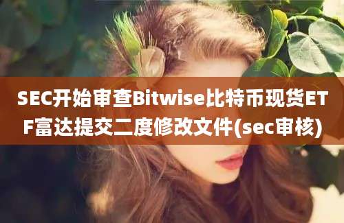 SEC开始审查Bitwise比特币现货ETF富达提交二度修改文件(sec审核)