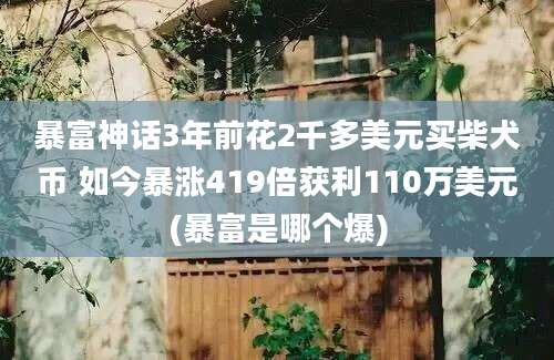 暴富神话3年前花2千多美元买柴犬币 如今暴涨419倍获利110万美元(暴富是哪个爆)