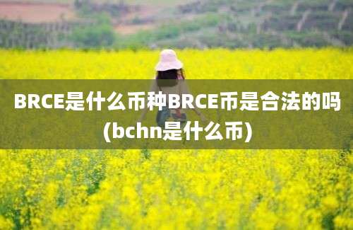 BRCE是什么币种BRCE币是合法的吗(bchn是什么币)