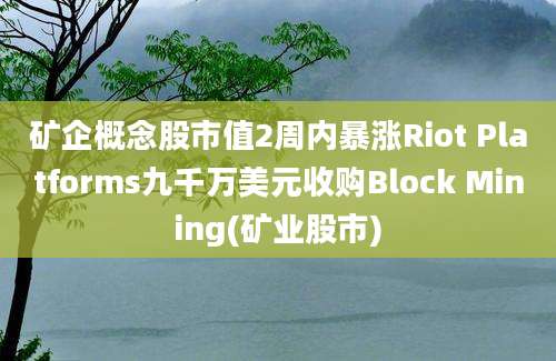 矿企概念股市值2周内暴涨Riot Platforms九千万美元收购Block Mining(矿业股市)