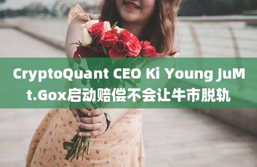 CryptoQuant CEO Ki Young JuMt.Gox启动赔偿不会让牛市脱轨