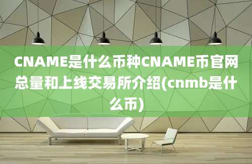 CNAME是什么币种CNAME币官网总量和上线交易所介绍(cnmb是什么币)