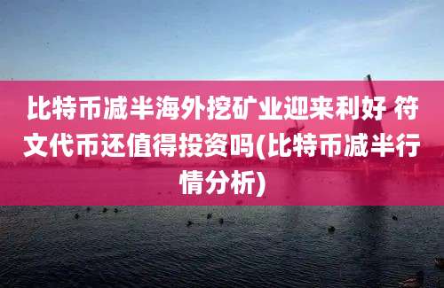 比特币减半海外挖矿业迎来利好 符文代币还值得投资吗(比特币减半行情分析)