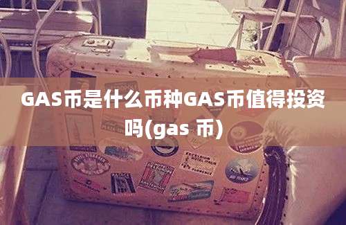 GAS币是什么币种GAS币值得投资吗(gas 币)