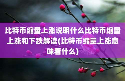 比特币缩量上涨说明什么比特币缩量上涨和下跌解读(比特币缩量上涨意味着什么)