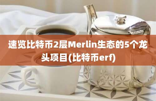 速览比特币2层Merlin生态的5个龙头项目(比特币erf)