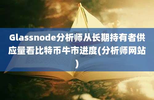 Glassnode分析师从长期持有者供应量看比特币牛市进度(分析师网站)