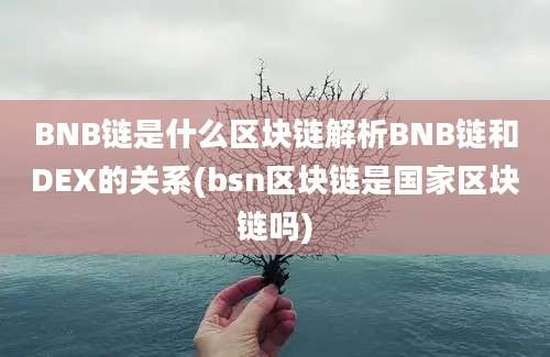 BNB链是什么区块链解析BNB链和DEX的关系(bsn区块链是国家区块链吗)