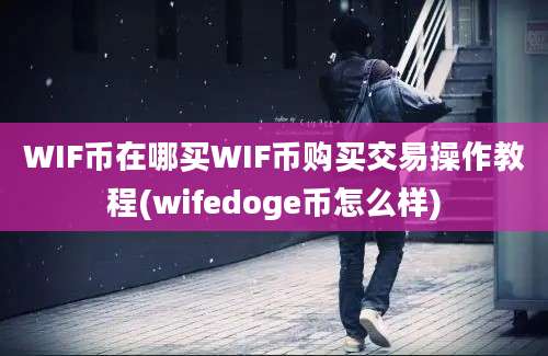 WIF币在哪买WIF币购买交易操作教程(wifedoge币怎么样)