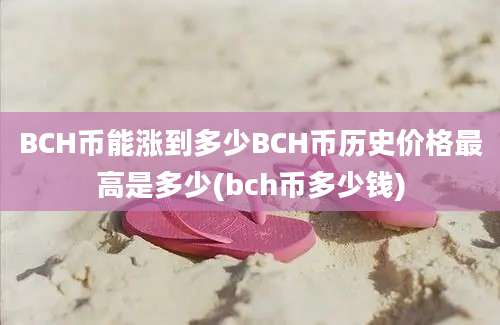 BCH币能涨到多少BCH币历史价格最高是多少(bch币多少钱)