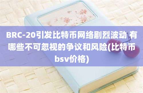 BRC-20引发比特币网络剧烈波动 有哪些不可忽视的争议和风险(比特币bsv价格)