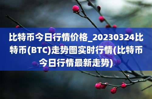 比特币今日行情价格_20230324比特币(BTC)走势图实时行情(比特币今日行情最新走势)