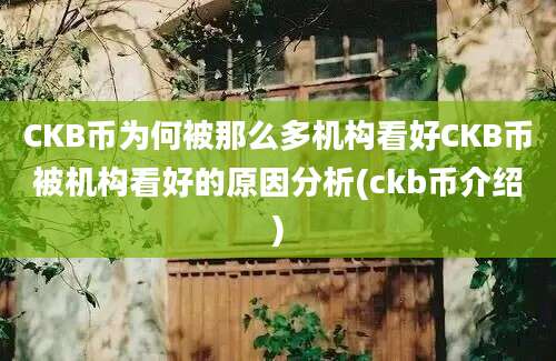 CKB币为何被那么多机构看好CKB币被机构看好的原因分析(ckb币介绍)