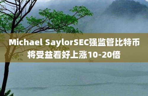 Michael SaylorSEC强监管比特币将受益看好上涨10-20倍