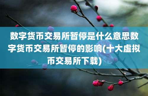 数字货币交易所暂停是什么意思数字货币交易所暂停的影响(十大虚拟币交易所下载)