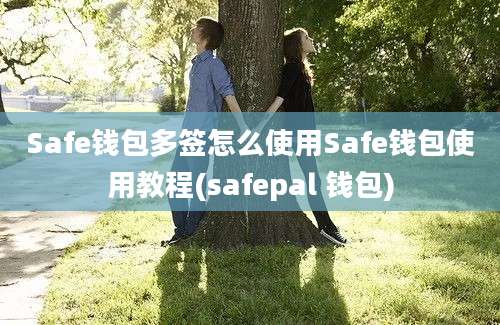 Safe钱包多签怎么使用Safe钱包使用教程(safepal 钱包)